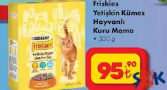 FRİSKİES KÜMES HAYVANLI YETİŞKİN KURU KEDİ MAMASI 300 G fiyat ve kampanya bilgisi